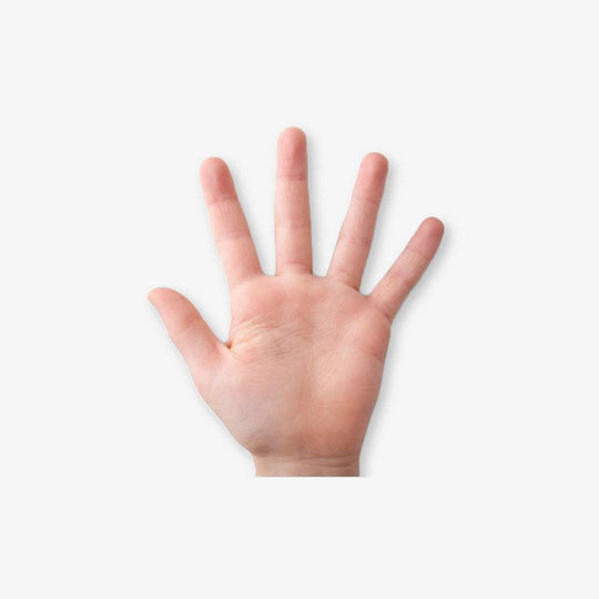 Plate Mounting BONT Quad & Derby Skates, Custom Quad Skates Bont